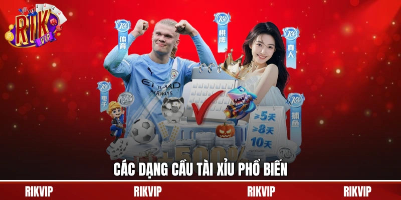 Soi Cầu Tài Xỉu - Phân Tích Kết Quả Dựa Trên Dữ Liệu Thực 3 Các dạng cầu tài xỉu phổ biến