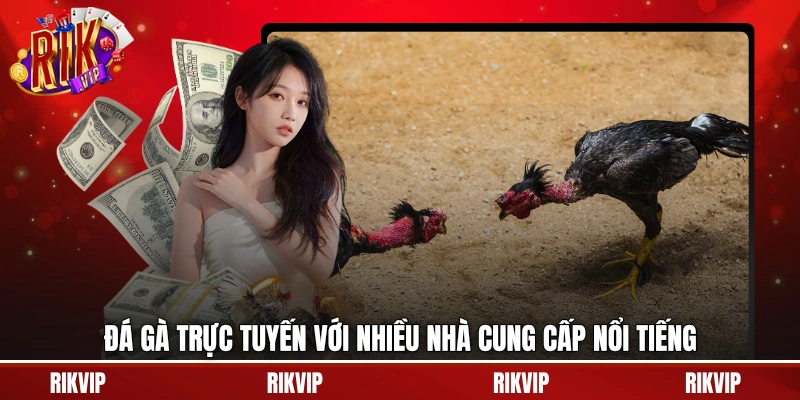 Đá gà trực tuyến với nhiều nhà cung cấp nổi tiếng
